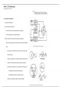 Weekly Lab Notes of Physics3LB Concepts at UC Irvine