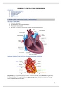 Circulatoire problemen