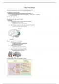 college aantekeningen deel2 neurobiologie 