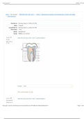 19WNCMP BIO-208-20101 / Week 8 - Reproductive System, and Development, Growth, and Aging / Lab Practical 2. All Correct Answers Indicated.