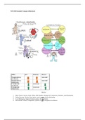 NUR 280-The Ultimate Guide /NUR 280-The Ultimate Guide// Exam (elaborations) NUR 280 (NUR280) (NUR 280 (NUR280)) NUR 280 Comp Review- comp 1, comp 2, comp 3 -2020