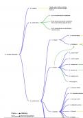 Mindmap bloedvoorziening van de kop