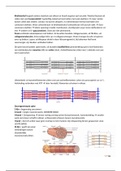 H19 sport biologie samenvatting 6vwo 2020/2021