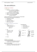 MSK3 - Wervelkolom - Lambeets 