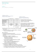 Samenvatting MIB-11306