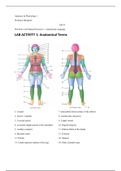 ANATOMY 251 LAB ACTIVITY 1