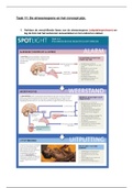 OG 11    1 vroedkunde blok 1.1