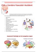 Werkstuk over CVA & TIA