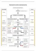 Schema procedure omgevingsvergunning