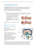 College Hydrocefalus (Pediatrische Neuropsychologie)