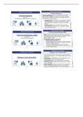 RN Med-Surg / Medical Surgical Nursing Study Cards