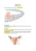 Optometrie Medisch Blok B HC1 - Embryogenese mens