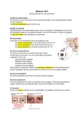 Optometrie Medisch Blok B HC3 - De hersenstam en zijn structuren