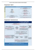 MEGASCHEMA | (Materieel) strafrecht: Schematische samenvatting, Beslisschema, Kelk/De Jong & ALLE wetsartikelen en jurisprudentie!