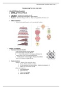 NUR 315 Pathophysiology Final Exam Study Guide Chamberlain College