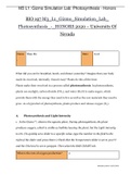 BIO 197 M3_L1_Gizmo_Simulation_Lab_ Photosynthesis_-_HONORS 2020 