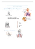 HS 5 ademhalingsstelsel fysiologie deel 1