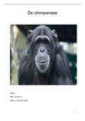 verslag van de chimpansees 4/5 havo bio 