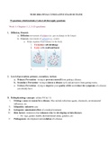 NURS 208A Final Cumulative Exam Outline