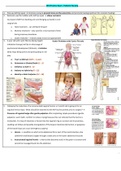 HESI Practice Exam Pediatric Nursing_2020 | HESI Pediatric Nursing Exam