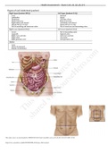 NR-304 Exam 1 Review - Chamberlain College Of Nursing