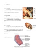 heart notes with diagrams