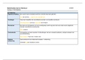 Samenvatting 17 formuleerfouten (4VWO - Nieuw Nederlands)