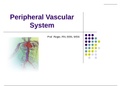 Peripheral Vascular System