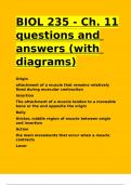 BIOL 235 - Ch. 11 questions and answers (with diagrams