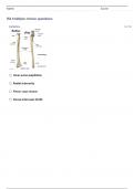 UPPER LIMBS III (Pages 1-6) QUESTIONS WITH 100% CORRECT ANSWERS!!