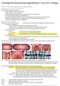 Samenvatting Cariologie en restauratie mogelijkheden (MHVB21CLL2B2A)