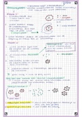 Samenvatting werking van het immunsysteem 5h