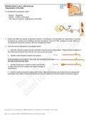 Exam (elaborations) BIOS252 Week 6 Lab: General and Special Senses 