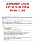 NR 507 Final Exam Study Guide (Latest, 2020/2021): Chamberlain College of Nursing 