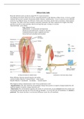  BIOS_252 Midterm Exam Study Guide  