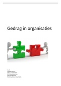 Module opdracht gedrag in organisaties (7,5)