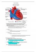 Peds Quiz 3 