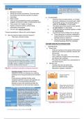 Biochemistry- Enzymes Notes