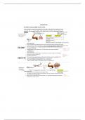 NUR 3535 Electrolyte Cheat Sheet