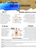 Sistema Endocrino