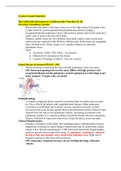 NURSING 4130: Peds Study Guide Test 2. Study Guide. 