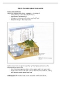 A level Pearson Edexcel Geography year 2 notes (Physical Systems and Sustainability) The Carbon Cycle and Energy Security.