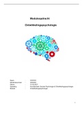 Moduleopdracht Ontwikkelingspsychologie NCOI cijfer:  8,0