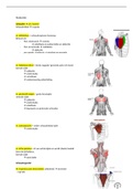 Samenvatting anatomie 