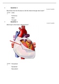 ANATOMY AN 2347L A&P II LAB Module 2 Quiz Answers