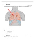 ANATOMY AN 2347L A&P II LAB Module 3 Quiz Answers