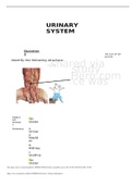 Exam (elaborations) BIOL 2402 