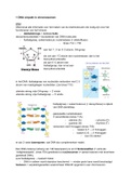 uitgebreide samenvatting biologie Nectar VWO 6 H19 DNA + bronnen / plaatjes