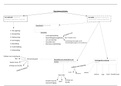 Schema over de eigendomsverkrijging