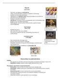 Samenvatting pop art en hedendaagse kunst kunstgeschiedenis